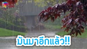 #อุตุฯเตือน !! รับมือฝนตกทั่วไทย ลมแรง เรืองดออกฝั่ง