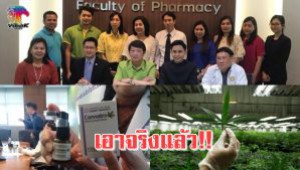 #เอาจริงแล้ว!!สถาบันแพทย์แผนไทยจับมือ ม.รังสิต วิจัยตำรับยาไทยเข้ากัญชาให้เป็นที่ยอมรับ