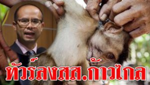 #ทัวร์ลงสส.ก้าวไกล ! เอารูปลิงอินโดถูกทรมาน มาเล่นงานไทย