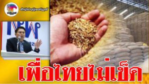 #เพื่อไทยไม่เข็ด ! ยันหากเป็นรัฐบาลจะจำนำข้าวอีก อ้างช่วยชาวนา