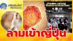 #ลามเข้าญี่ปุ่น ! ฝีดาษลิง ระบาดในเอเซีย พบคนป่วยเพิ่งกลับจากยุโรป