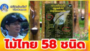 #THAILAND ONLY !!! ไม้ไทย ได้คาร์บอนเครดิต แล้วตั้ง 58 ชนิด ?!