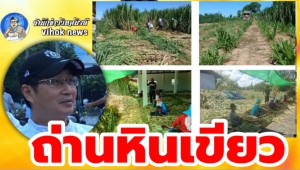 #ถ่านหินเขียว !ทางรอดด้านพลังงานของไทย