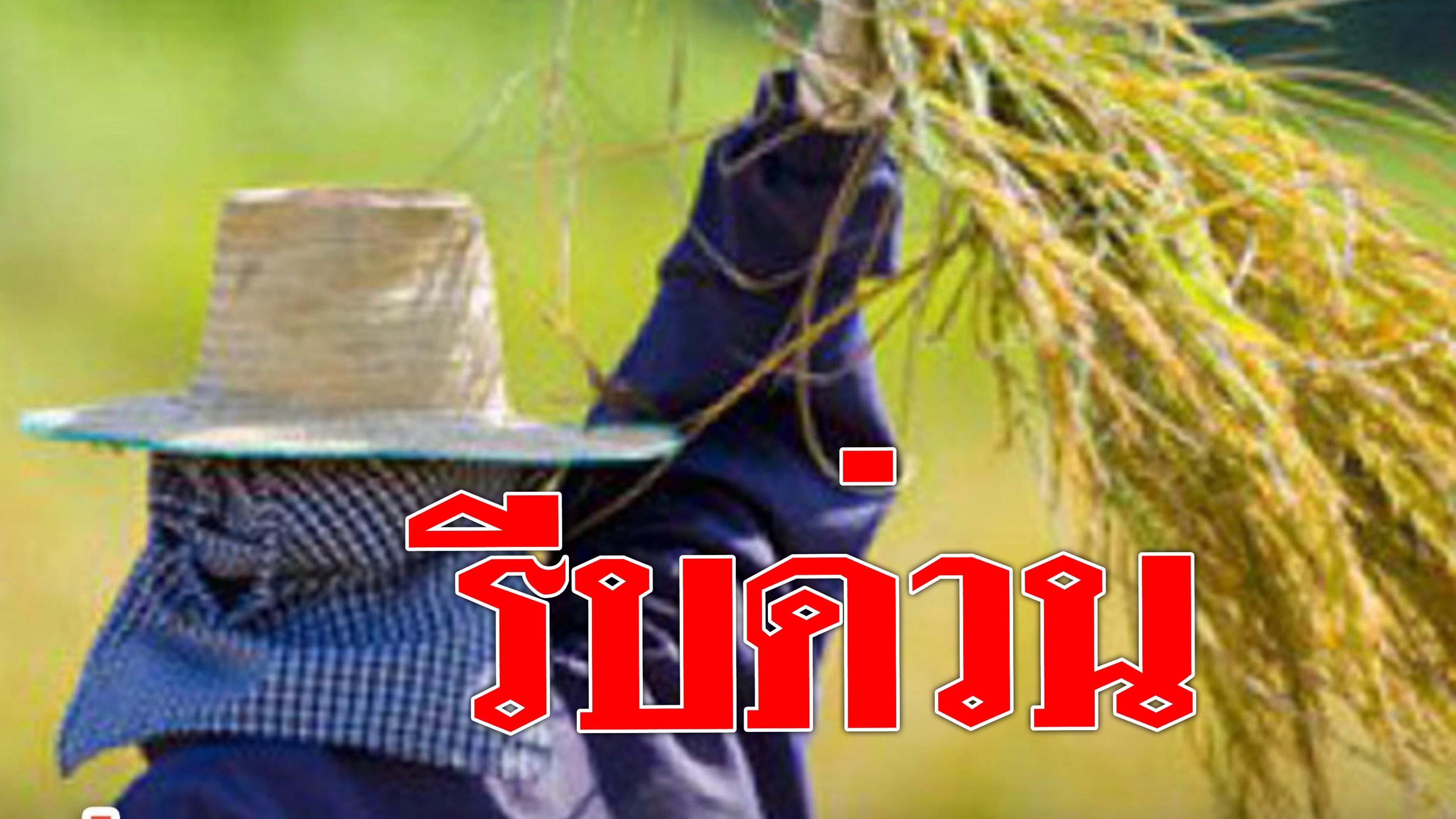 # รีบด่วน! เกษตรกรยื่นอุทธรณ์รับเงินเยียวยา5พันบาท วันนี้วันสุดท้าย5มิย ...